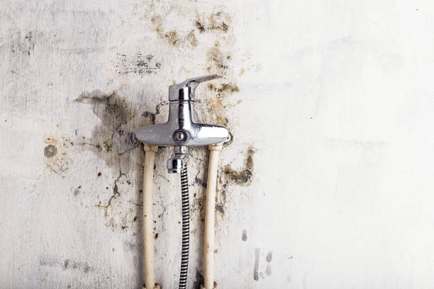 Best Mold Testing  in Charleston, SC